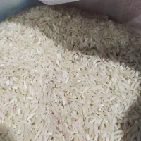 برنج فجر ممسنی|خوردنی و آشامیدنی|شیراز, معالی‌آباد|دیوار