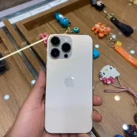 14 ProMax 256 zaa bt 98% باریجستری