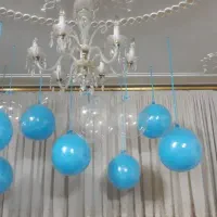 بوبو بالن تولد