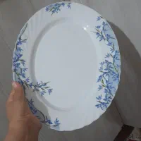 دیس|سفره، حوله، دستمال آشپزخانه|مشهد, حضرت حجت|دیوار