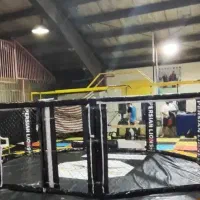 اجاره قفسmma