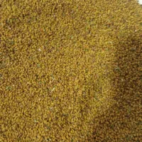 250کیلو فروش بذر یونجه