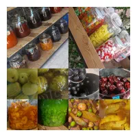 پاستیل و انواع لواشک