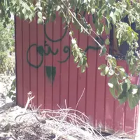 دوعددکانکس به فروش میرسد