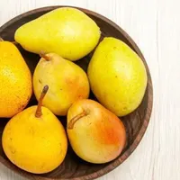 توزیع درخت گلابی کنکورد مقاوم بصورت گلدانی|خدمات باغبانی و درختکاری|هشتگرد, |دیوار
