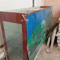 اکواریوم