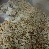 فروش نون خشک