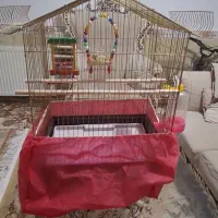 قفس پرنده|لوازم جانبی حیوانات|کرج, کرج نو|دیوار