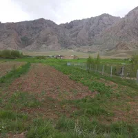 زمین-باغی-میاندربند