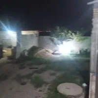 زمین-دهقانی-شالی-تمام-وقت-هستم