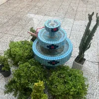 گل های ناز و شمشاد طلایی و افوربیا سبز