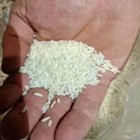 برنج محلی دودرود درجه یک