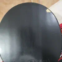 راکت پینگ پنگ|ورزش‌های توپی|شیراز, دباغ خانه|دیوار