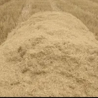 کاه گندم  خرمن کوب در گونی