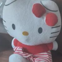 دوعدد عروسک باهم سیصدهزارتومان