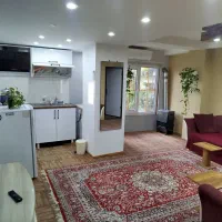 سوئیت-و-کلبه-سوئیسی