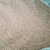 برنج هاشمی|خوردنی و آشامیدنی|سبزوار, قاضی زاد|دیوار