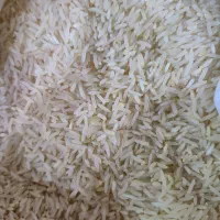 برنج درجه ۱ طارم هاشمی|خوردنی و آشامیدنی|محمدشهر, محمدشهر|دیوار