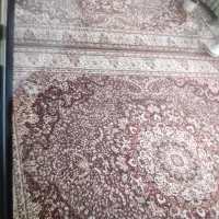 فرش ماشینی|فرش|بانه, |دیوار