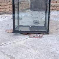 آکواریوم