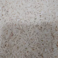 برنج طارم هاشمی و سر لاشه