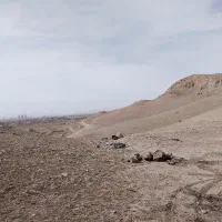 زمین باغ ویلا