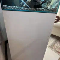 فروش اکواریوم|ماهی|لاهیجان, کوی خزر|دیوار
