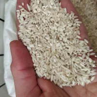 لاشه برنج چمپا