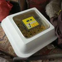 دستگاه جوجه کشی اتومات.مرغ خروس اردک بوقلمون پرنده