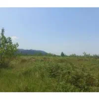 240-متر-زمین-فروشی