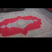 فرش ۱۲متری|فرش|تالش, تالش|دیوار