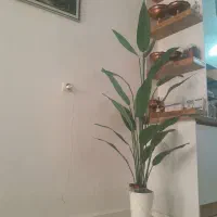 درختچه مصنوعی پرنده بهشتی