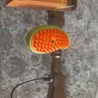 500000|لوازم جانبی حیوانات|ساری, |دیوار