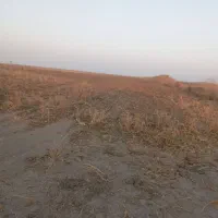 اجاره زمین کشاورزی حاصلخیز