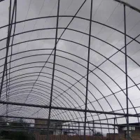 گلخانه|فروش دفتر صنعتی، کشاورزی، تجاری|شهرضا, |دیوار