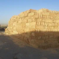 ۱۰۰ تن پرس گندم(پخل) زیر قیمت