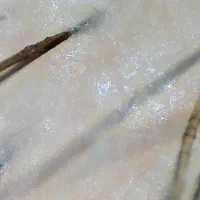 پاکسازی کف سر تخصصی / کراتین و پروتئین