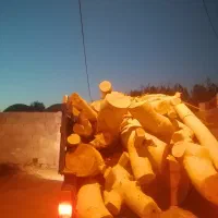 درخت بری هرس کردن وخرید چوب