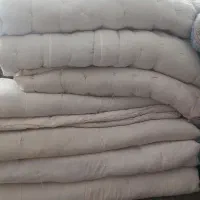 تشک پشمی