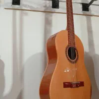 فروش انواع گیتار از مبتدی تا حرفه ای|گیتار، بیس، امپلیفایر|خمینی‌شهر, |دیوار