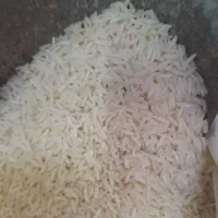 برنج هاشمی درجه یک گیلان تازه۳۱۰ت فوق اعلا|عمده‌فروشی|اردبیل, |دیوار