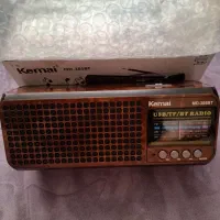 اسپیکر رادیویی