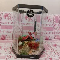 حراج وسایل منزل