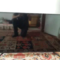 تلویزیون|تلویزیون و پروژکتور|اندیشه, اندیشه فاز ۳|دیوار