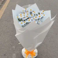 گل ترند مخملی|گل مصنوعی|زنجان, |دیوار