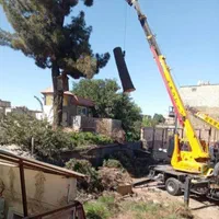 خریدار چوب هرس کاری قطع درخت برش خرید چوب هیزم|خدمات باغبانی و درختکاری|تهران, تهرانسر شرقی|دیوار