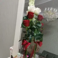 اجاره زیر زمین 250 متری مناسب سالن زیبایی