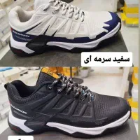 کتونی مردانه و زنانه|کیف، کفش، کمربند|رشت, چله خانه|دیوار