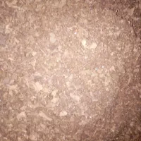 کود خاک برگ بلوط برای باغچه و گل کیسه ۲۵کیلوفقط۲۵۰|گل و گیاه طبیعی|کرمانشاه, |دیوار