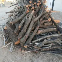 خریدار چوب باغی و ارس باغی